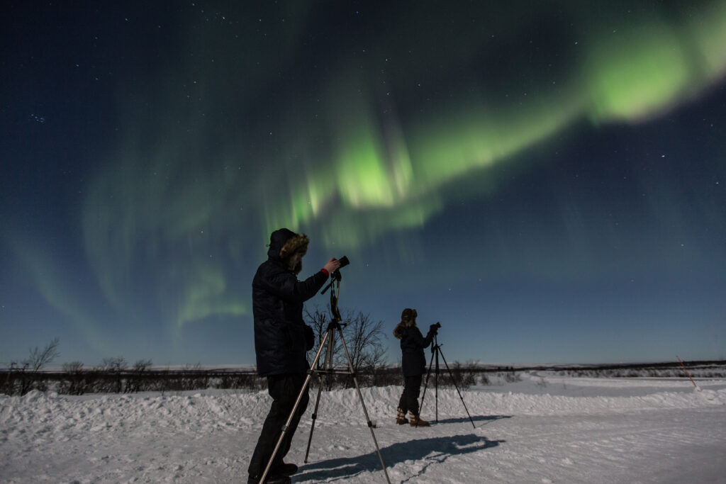 Auroras-9531-2